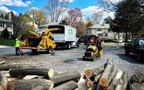  Utica, IN Tree Services Pros